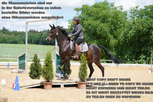 s_K3F06236.JPG